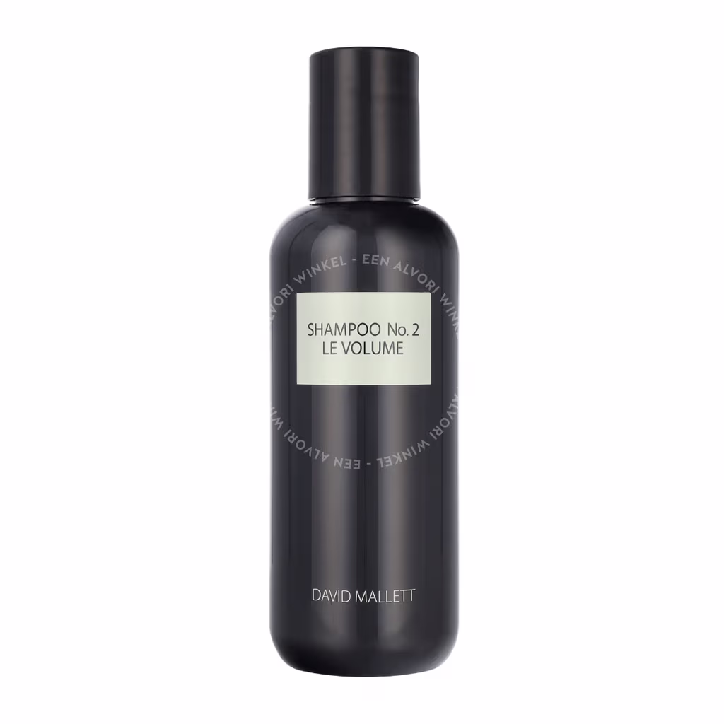 David Mallett David Mallett Volumizing Shampoo N2